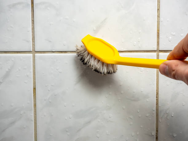 Best Mold Testing  in Lake Lorelei, OH