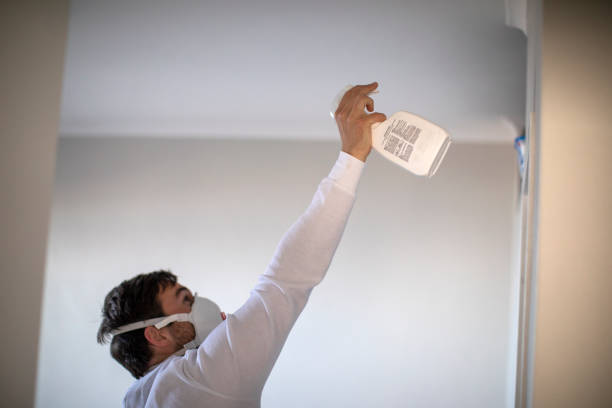 Best Mold Testing  in Lake Lorelei, OH